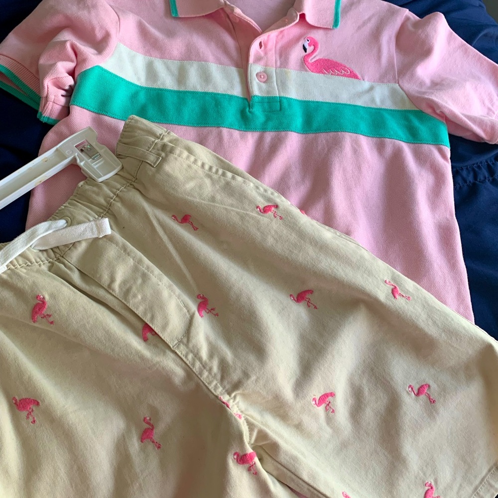 Flamingo Fun